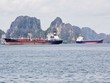 Vosco Sunrise, từ kỳ vọng đến ám ảnh